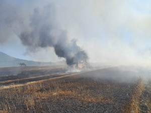 V Jezvé na Českolipsku hořelo pole i s kombajnem, škoda přesáhla milion