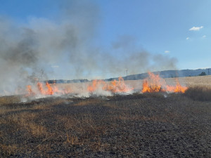 V Jezvé na Českolipsku hořelo pole i s kombajnem, škoda přesáhla milion