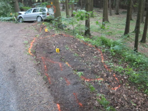 Mladá řidička nezvládla řízení a narazila do stromu. Nadýchala na 1,3 promile