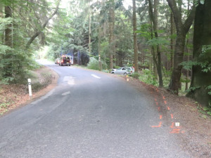 Mladá řidička nezvládla řízení a narazila do stromu. Nadýchala na 1,3 promile