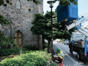 Turnov vyměnil dalších 750 lamp veřejného osvětlení. Ročně tím ušetří 700 tisíc