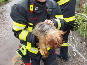 Žena spadla do hlubokého koryta Smědé i se psem. Ven jim pomohli hasiči