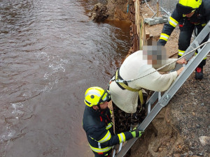 Žena spadla do hlubokého koryta Smědé i se psem. Ven jim pomohli hasiči