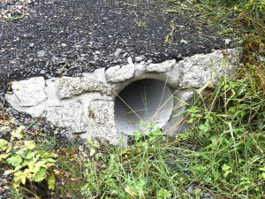 Z Bělé do Sekerkových Louček jezdí řidiči po novém povrchu silnice