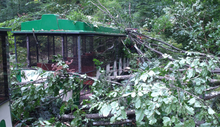 Turistický vláček u Blanska zasáhl padající strom, jedna cestující je zraněná