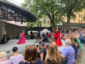 Snímek z Křehké krásy 2024.