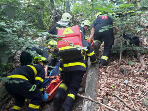 Špatné šlápnutí a pád. Žena se na Bezdězu zřítila ze čtyřicetimetrového srázu