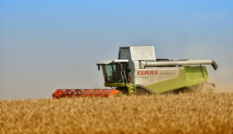 Sklizeň obilí a řepky v Libereckém kraji je teprve ve třetině
