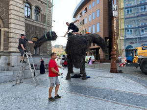 Vulpes Slávek se stěhuje. Před radnicí bude nová socha