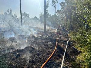 Další lesní požár. Hořelo nedaleko Máchova jezera