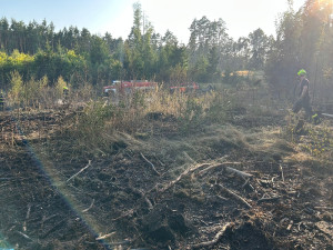 Další lesní požár. Hořelo nedaleko Máchova jezera