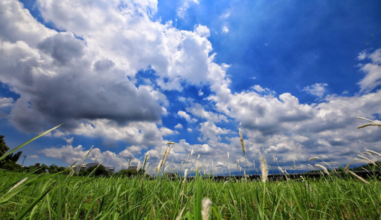 Počasí na týden: Do středy se bude oteplovat, pak přijde ochlazení a déšť