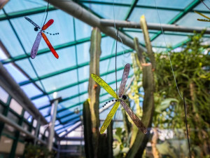 V Botanické zahradě v Liberci přibyly skleněné objekty inspirované přírodou