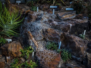 V Botanické zahradě v Liberci přibyly skleněné objekty inspirované přírodou