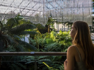 V Botanické zahradě v Liberci přibyly skleněné objekty inspirované přírodou