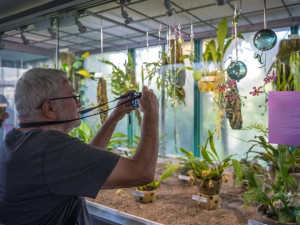 V Botanické zahradě v Liberci přibyly skleněné objekty inspirované přírodou