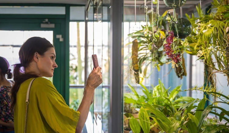 V Botanické zahradě v Liberci přibyly skleněné objekty inspirované přírodou