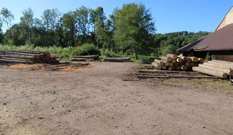 Zloděj ukradl z pily na Rychnovsku dvanáctimetrové klády, policisté shání svědky