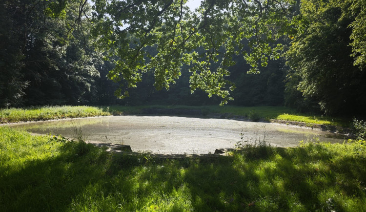 Ze staré hasičské nádrže v Hrádku nad Nisou v Dolním Sedle se stane biotop