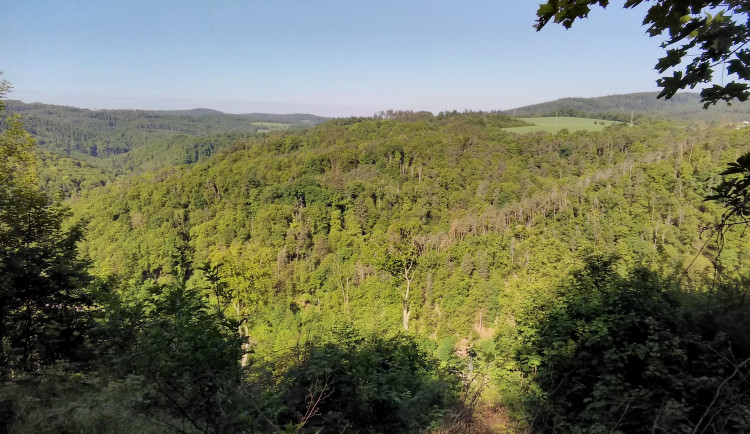 FOTO: Blansko má novou přírodní rezervaci. Jde o staré listnaté lesy v Olešné