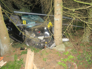 Mladý řidič nezvládl v Janově své BMW a narazil do stromu. Vyvázl s lehkým zraněním