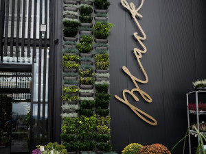 Květinové studio Black v Liberci slaví již 2. narozeniny