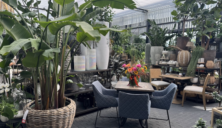 Květinové studio Black v Liberci slaví již 2. narozeniny