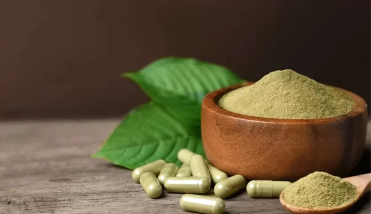 Ostravští neurologové varují: kratom může vyvolat epileptické záchvaty