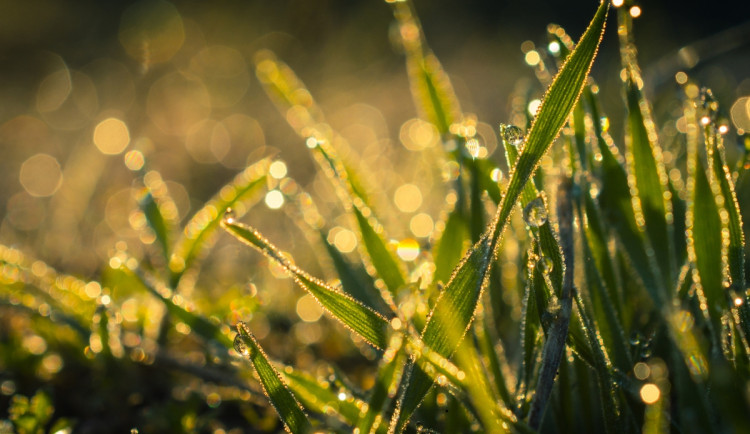 Během víkendu se do Královéhradeckého kraje vrátí léto. Teploty vyšplhají na 28 stupňů