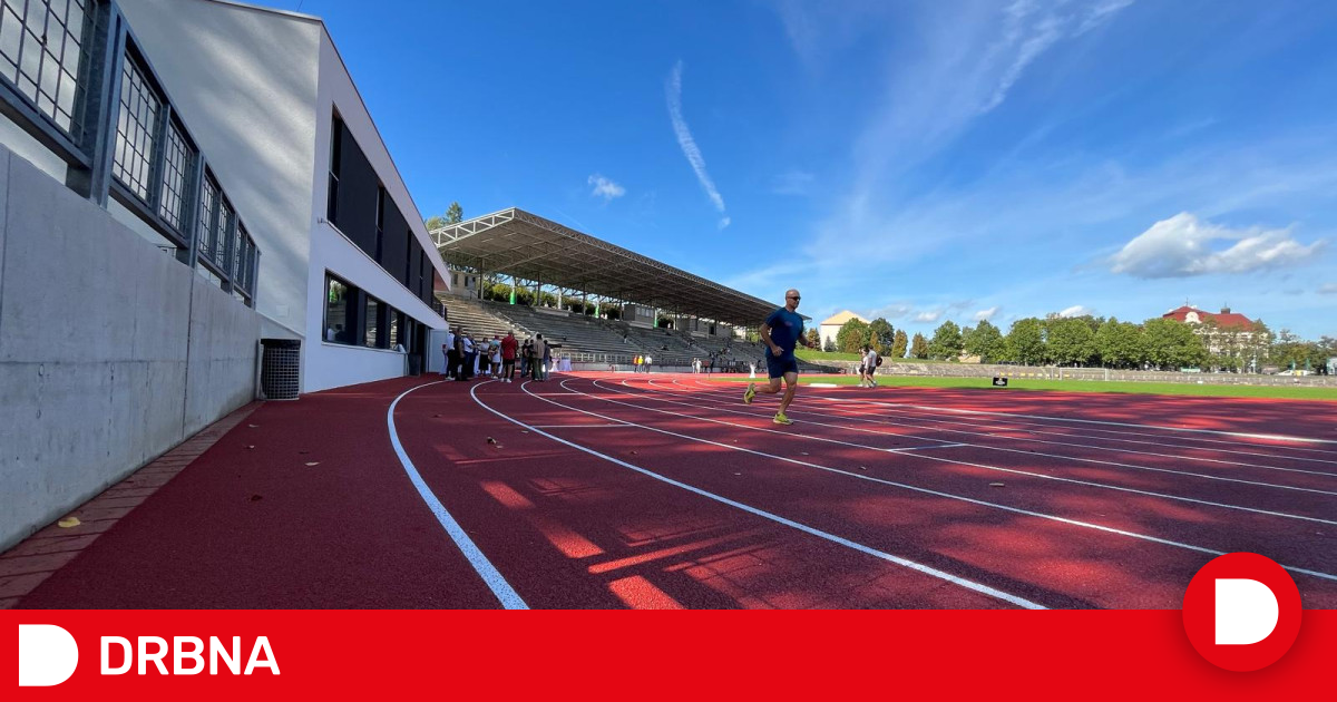 Stadium Reconstruction: M Upgrade & Junior Championship Venue