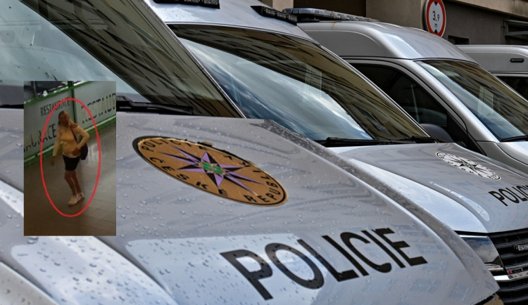 Žena vzala peníze určené pro nemocného chlapce, pátrá po ní policie