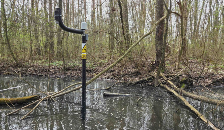 I v příštím roce bez komárů. Olomouc bude pokračovat v monitoringu larev a případných postřicích