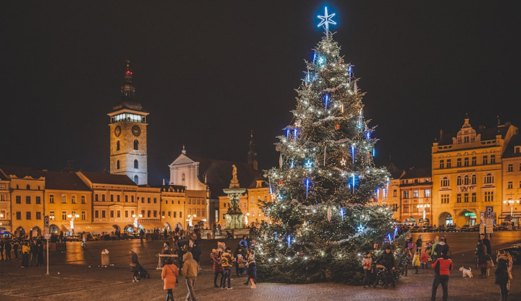 Město má vánoční strom. Náměstí ozdobí jedle ze Starých Hodějovic