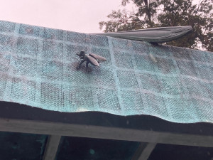 Příští zastávka: Hostina obrů. Liberec přejmenuje podivuhodnou zastávku Davida Černého