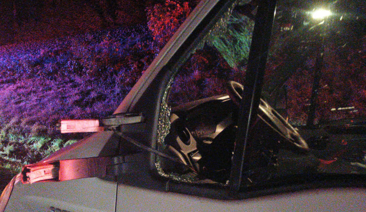 Od půlnoci 20 sražených zvířat, dopravu komplikuje hustá mlha