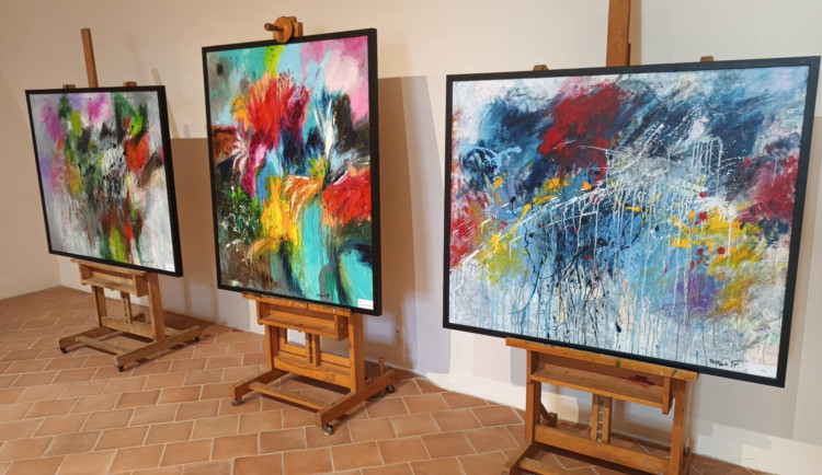 FOTOGALERIE: Abstrakce vlivného poslance Faltýnka v Prostějově. Vernisáž vzbudila rozruch