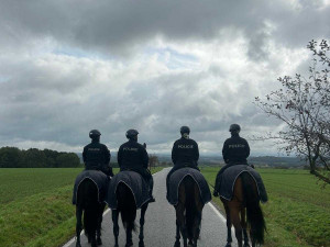 Kontroly chat v Libereckém kraji. Policisté do terénu vyrazili na koních