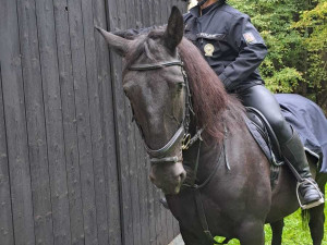 Kontroly chat v Libereckém kraji. Policisté do terénu vyrazili na koních