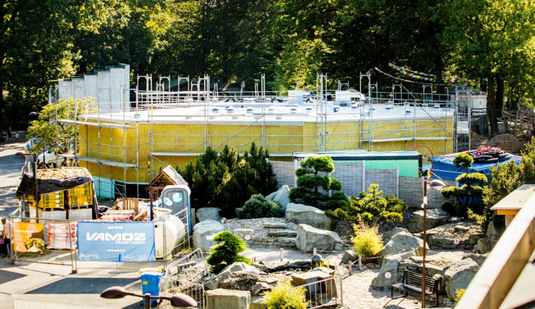 Amphibiarium roste: Zoo Ostrava chystá 40 biotopů pro ohrožené obojživelníky