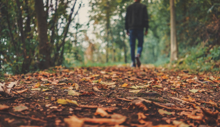 Teploty v Libereckém kraji vystoupají až na sedmnáct stupňů. Vrátí se déšť