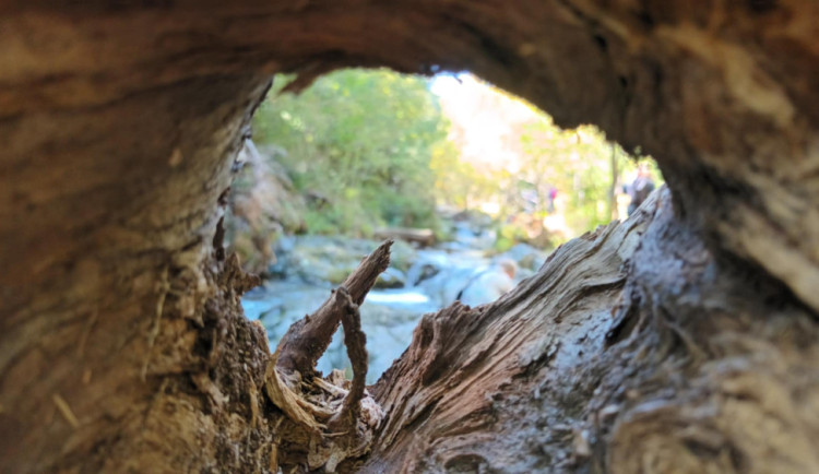 TIP NA VÝLET: Divočina, vodopády, ale i nádherné výhledy. To je Bílá Opava s Ovčárnou