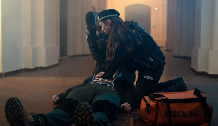 Strážnici v Chebu zachraňovali život a našli muže, který se pokoušel odcizit okapy