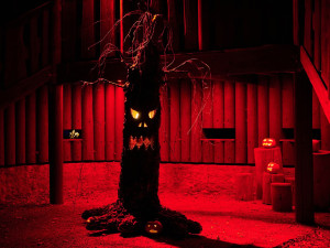 Zoo bude o víkendu strašidelná a návštěvníkům se otevře i ve večerních hodinách