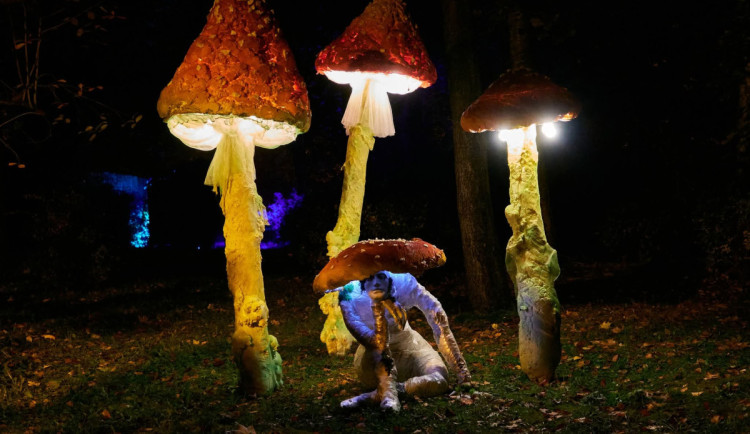 Zoo bude o víkendu strašidelná a návštěvníkům se otevře i ve večerních hodinách