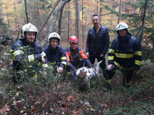 Zásahy hasičů o víkendu - požár haly s pneu v Liberci, na Semilsku záchrana psa