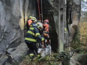 Zásahy hasičů o víkendu - požár haly s pneu v Liberci, na Semilsku záchrana psa