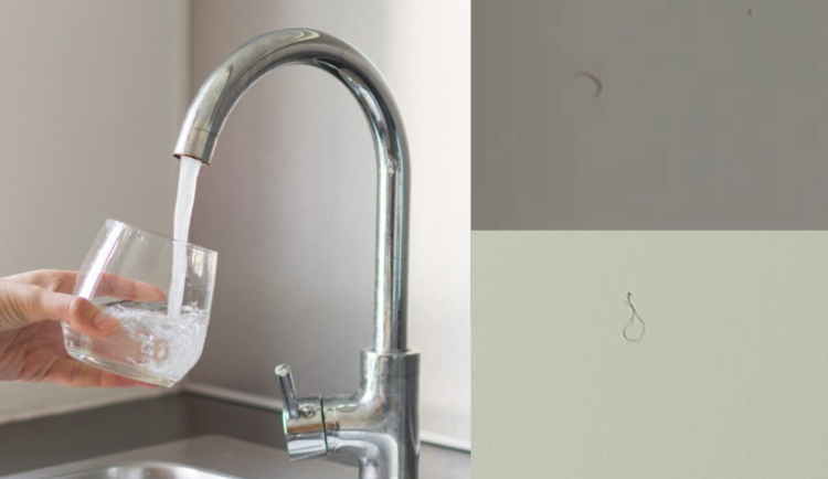 Tři týdny bez pitné vody. Straník se marně snaží zbavit živých organismů v potrubí