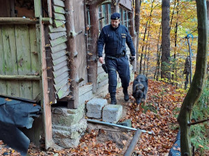 Policisté kontrolovali chaty a chalupy v Českém ráji, zapojili i služebního psa Zorana