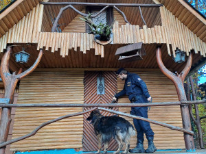 Policisté kontrolovali chaty a chalupy v Českém ráji, zapojili i služebního psa Zorana