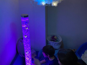 Komplexní služby a individuální přístup. Děláme rehabilitaci dostupnou, zní ze SAREMY